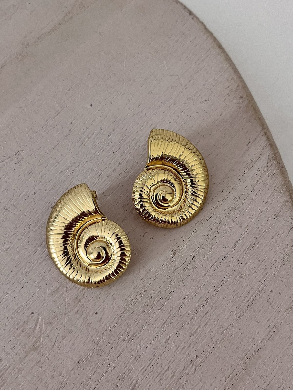 Nautilus shell earings