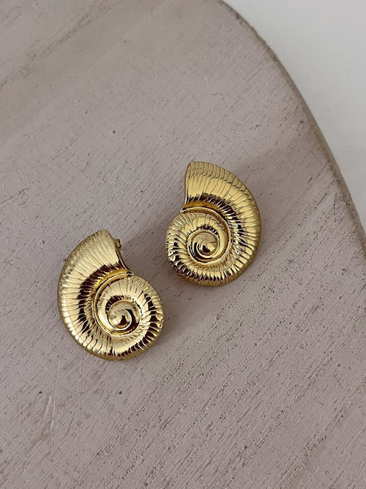 Nautilus shell earings