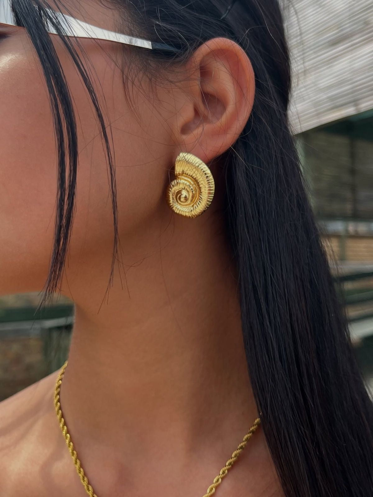 Nautilus shell earings